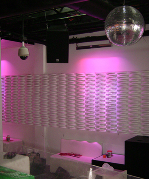 Крытая профессиональная звуковая система аудио ночного клуба краски 10 дикторов караоке дюйма черное